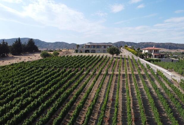 Datça Bağ - Görsel 20