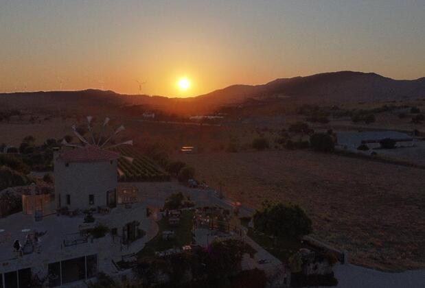 Datça Bağ - Görsel 21