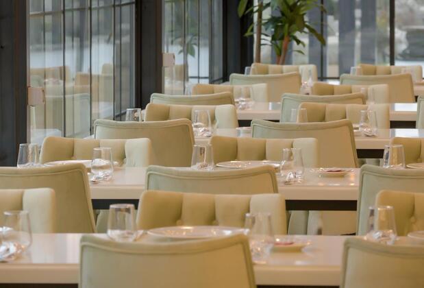 Anemon Aydın - Görsel 2