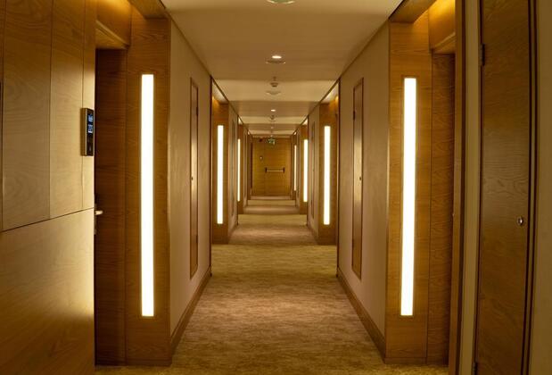 Anemon Aydın - Görsel 34