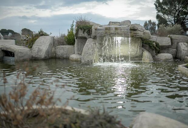 Anemon Aydın - Görsel 38