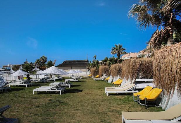 Cocos The Club Solto - Görsel 3