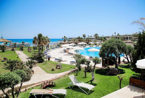 Cocos The Club Solto - Görsel 12