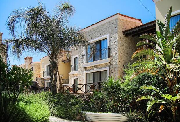 Cocos The Club Solto - Görsel 13