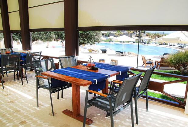 Cocos The Club Solto - Görsel 29