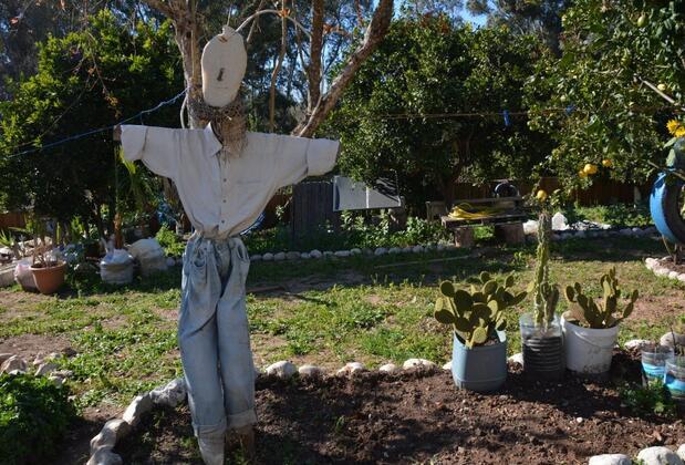 Tuthaliya Boutique Hotel - Görsel 22