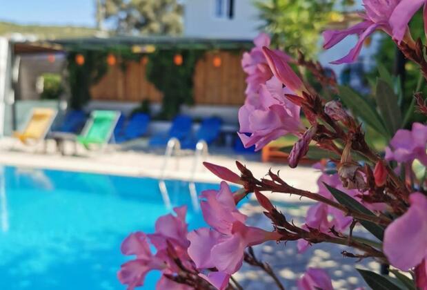 Tuthaliya Boutique Hotel - Görsel 19