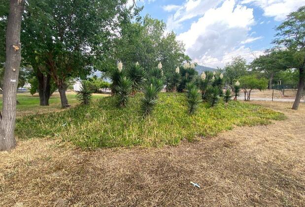 Mert Hotel Beldibi - Görsel 15