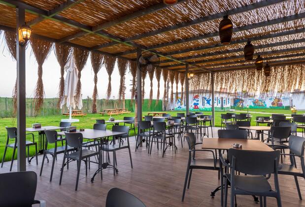 Armas Lara - Görsel 23