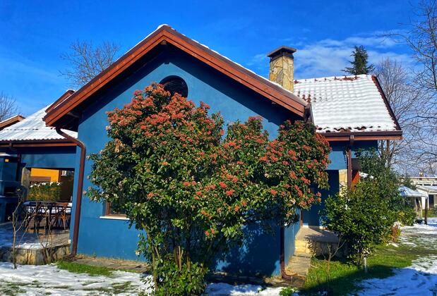 Sapanca Villa Kırkpınar - Görsel 35