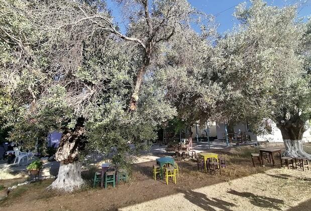 Demlik Apart & Camping - Görsel 3