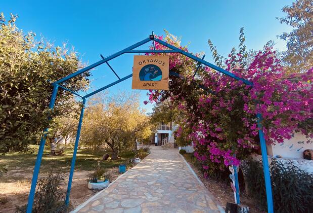 Okyanus Apart - Görsel 4