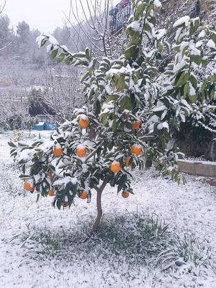 Dolphin Boutique Hotel Burdur - Görsel 5