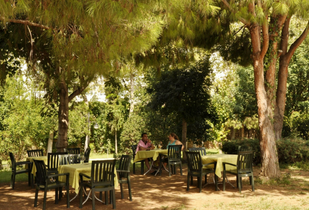 Green Peace Hotel - Görsel 18