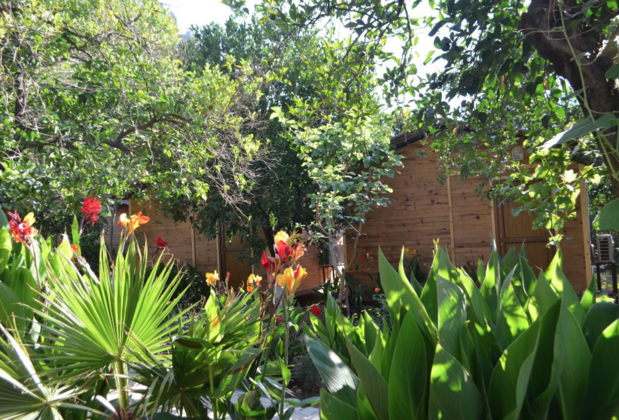 Olympos Mercan Bungalow - Görsel 3