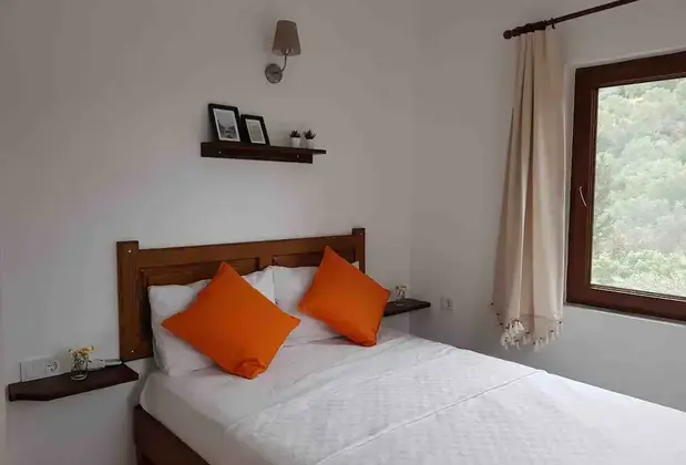 Art Olive - Görsel 3