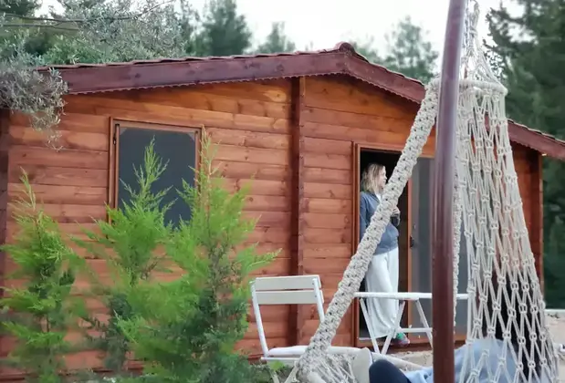 Art Olive - Görsel 4