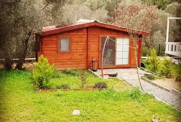 Art Olive - Görsel 5