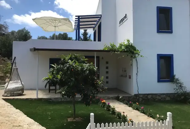 Art Olive - Görsel 8