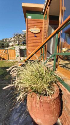 MuBella Butik Tiny House - Görsel 3