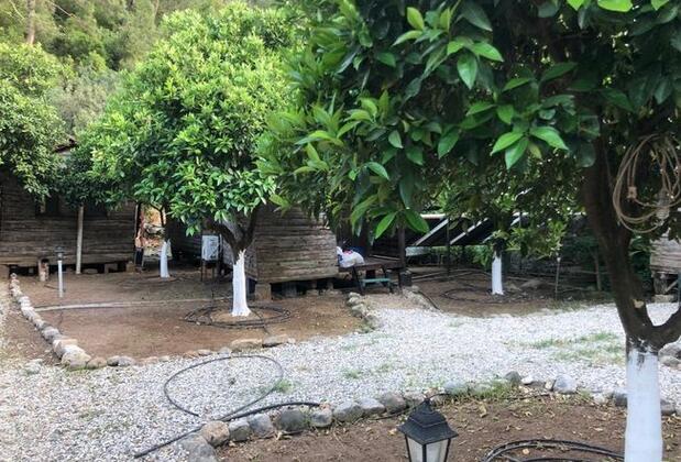 Truva Bungalows Olympos - Görsel 19