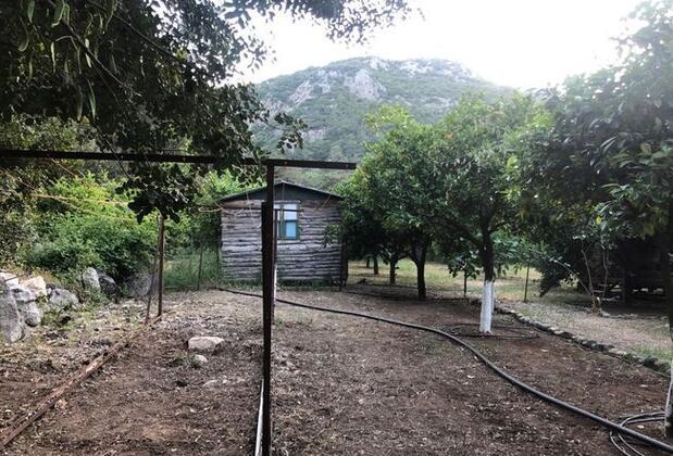 Truva Bungalows Olympos - Görsel 21