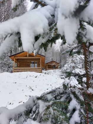 Güzeldere Şelalesi Bungalov Evleri - Görsel 4