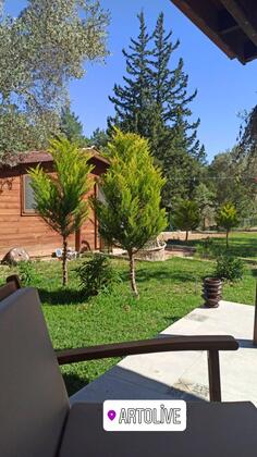 Art Olive - Görsel 9