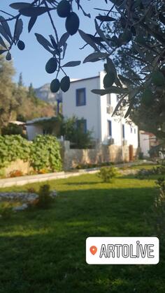 Art Olive - Görsel 10