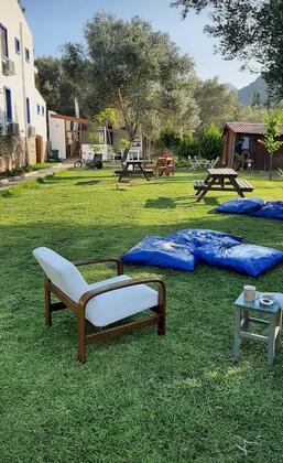 Art Olive - Görsel 11