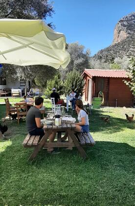 Art Olive - Görsel 22