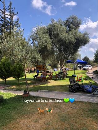 Art Olive - Görsel 26