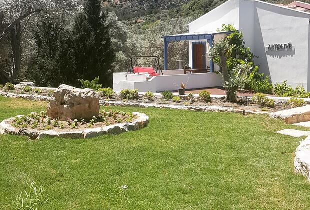 Art Olive - Görsel 34