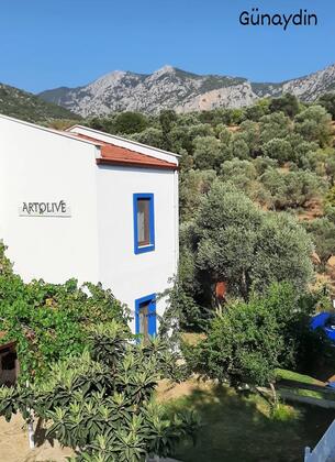 Art Olive - Görsel 12