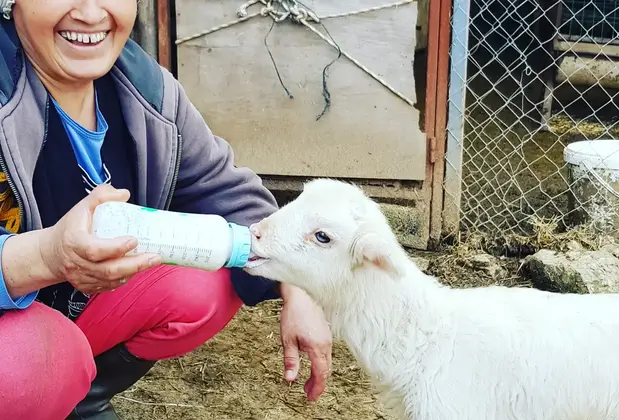 Art Olive - Görsel 15