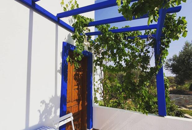 Art Olive - Görsel 29