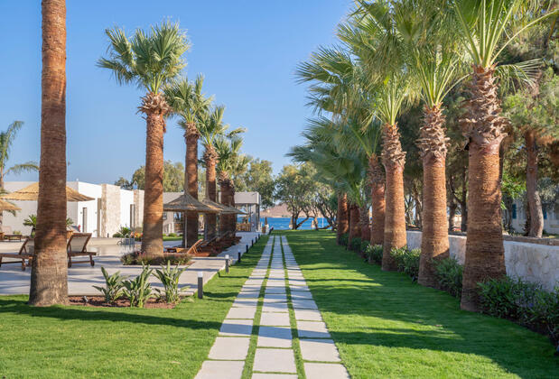 Regia Mare Beach Hotel Bodrum - Görsel 7