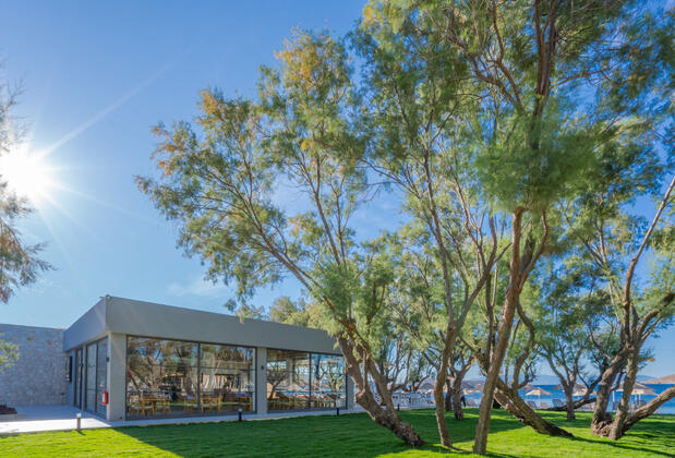 Regia Mare Beach Hotel Bodrum - Görsel 12