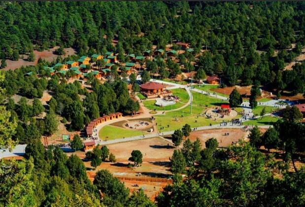 Bağbaşı Yaylası Bungalov Evler - Görsel 8