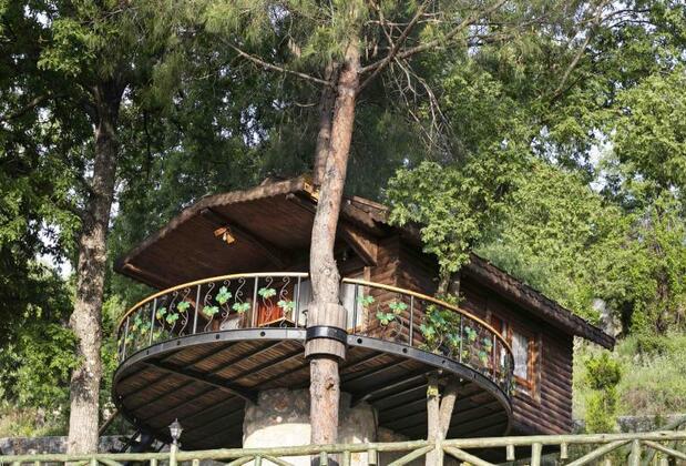 Botanik Göl Evleri - Görsel 4