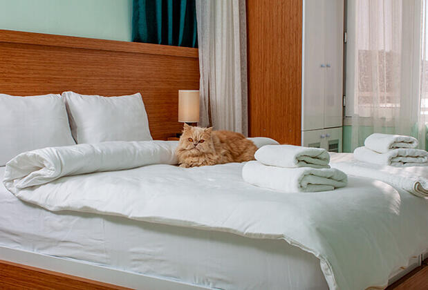 Midilli Konak Foça - Görsel 10