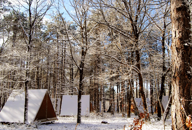 Longosphere Glamping - Görsel 9