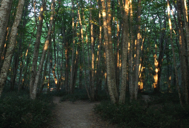 Longosphere Glamping - Görsel 46