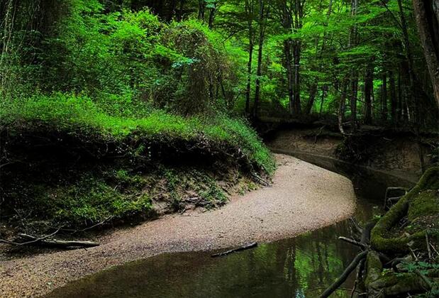 Longosphere Glamping - Görsel 47