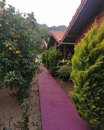 Sahil Pansiyon Çıralı - Görsel 8