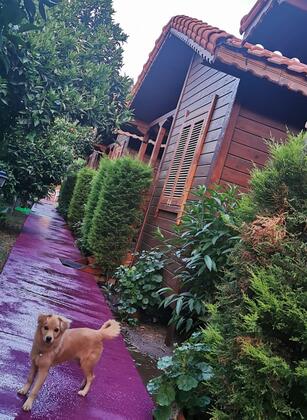 Sahil Pansiyon Çıralı - Görsel 10