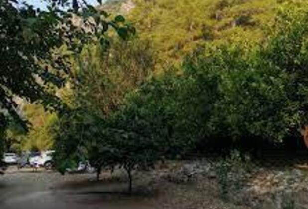 Halanın Yeri Camping - Görsel 3