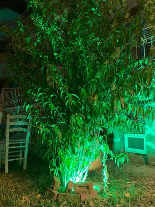 Gelibolu Martı Motel - Görsel 9