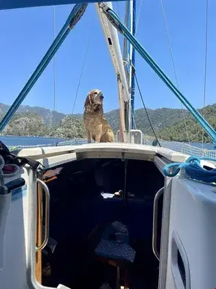 Marimare Beach Bungalov Hotel - Görsel 11