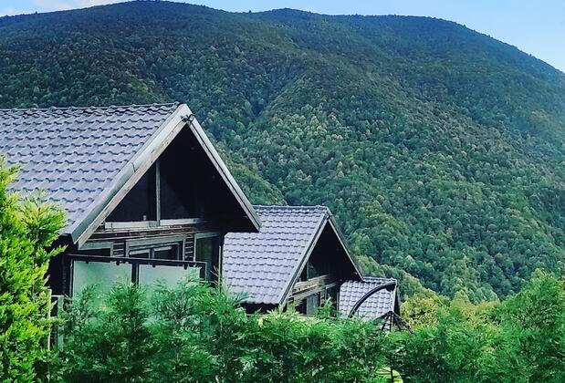 Benim Yeşil Bahçem Sapanca - Görsel 18